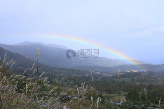 彩虹和多彩的叶子黄色地平线季节性森林旅游木头植物树叶图片