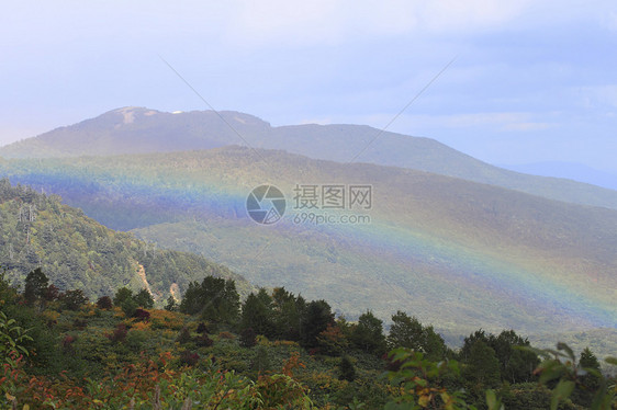 彩虹和多彩的叶子树叶黄色森林旅游季节性地平线植物木头图片