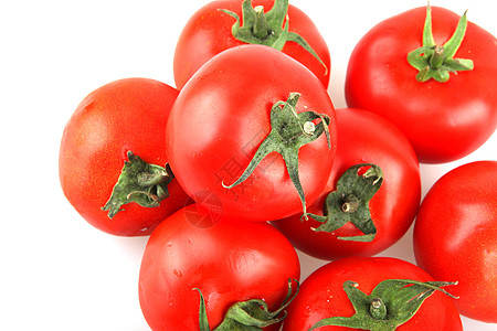 番茄食谱相片照片植物库存种子传家宝白色免版税生长背景图片