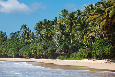 依德利海滩 斯里兰卡蓝色丛林横幅风景娱乐热带棕榈海浪孤独地平线图片