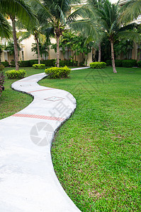 花园园途径院子装饰草地小路路线衬套后院热带植物学图片