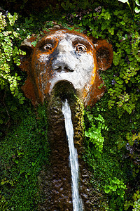 埃斯特别墅蒂沃利旅行瀑布绿化雕像喷泉建筑遗产园林奢华晴天图片