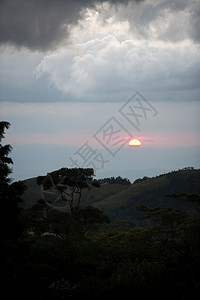 日落过山丛林荒野太阳场景射线山脉丘陵树木森林背光图片