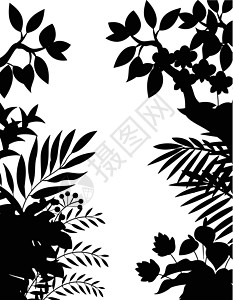 丛林阴影场地绘画木头棕榈插图荒野美化庆典植物生态图片