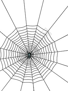 蜘蛛网黑色昆虫蜘蛛卡通片草图网络陷阱圆圈插图危险图片