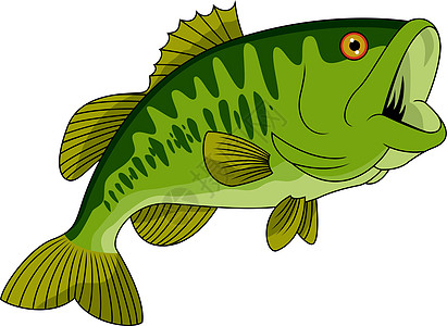 巴斯鱼插图鳟鱼低音鲈鱼大嘴游泳乐趣海洋游戏食物图片