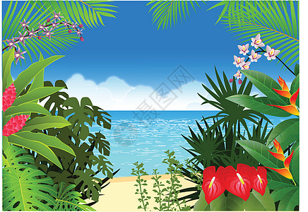 热带热带海滩背景棕榈季节植物框架衬套植被森林天堂环境雨林图片
