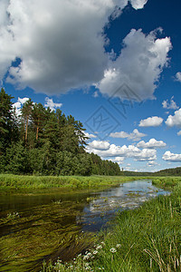 风云 河流和森林的夏季风景图片