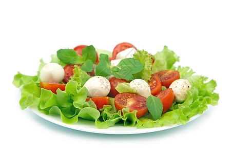 沙拉西红番茄和莫扎里拉与世隔绝营养饮食食物盘子叶子美食餐厅维生素午餐蔬菜图片
