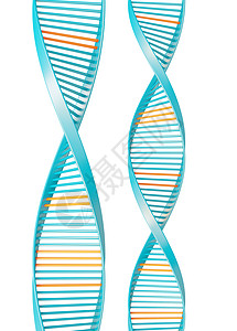 dna 纳插图蓝色药品生物学技术工程实验橙子克隆实验室图片