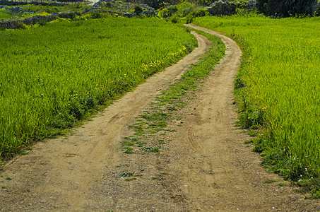 绕风路踪迹农村牧场草地车道森林途径小路草皮公园图片