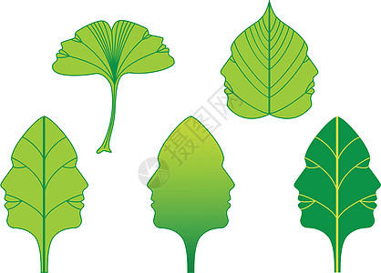 绿色树叶 有面 矢量组合高清图片