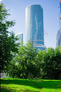 摩天大楼和自然图片