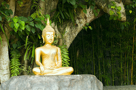 绿色树下以冥想姿势的佛像雕塑金子寺庙雕像露天佛教徒美丽黄色精神宗教图片