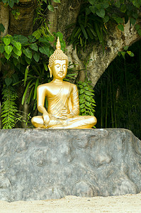 绿色树下以冥想姿势的佛像美丽佛教徒精神雕塑金子雕像宗教露天寺庙黄色图片