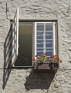 带花朵的窗口住宅场景玻璃房子阳光植物乡村建筑学图片