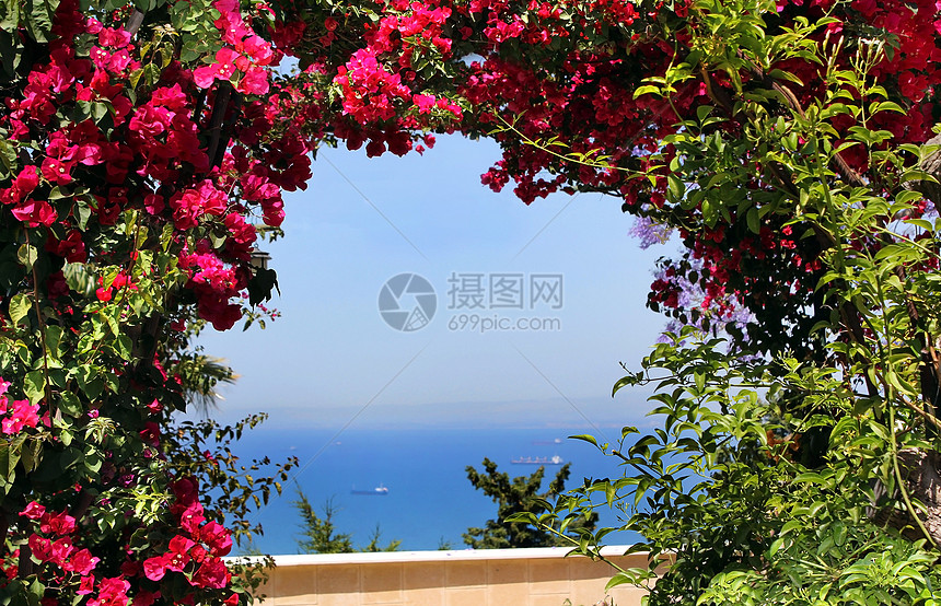 花朵和海的风景图片
