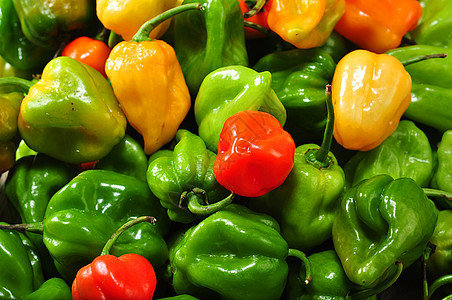 希列巴内罗调味品烧伤辣椒食物美食香料胡椒重量法士农业图片