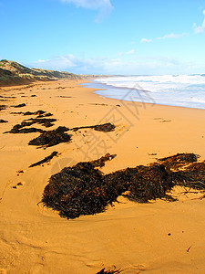 大洋路海滩——澳大利亚图片
