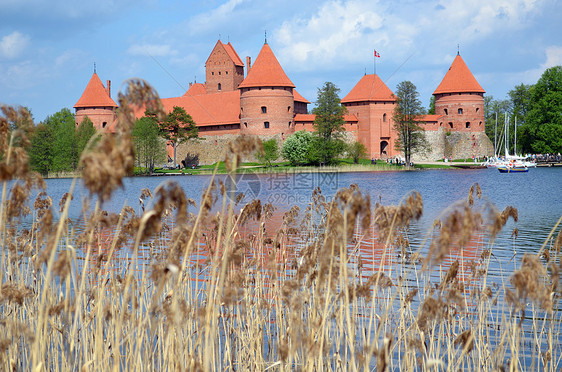 立陶宛Galve湖附近的Trakai城堡图片