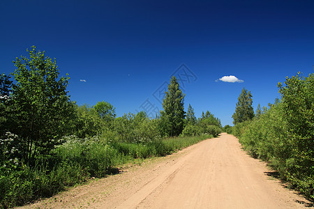 以绿色木柴为生的农村道路图片