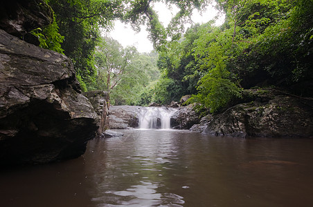 别墅水池泰国 泰国 Pa lau瀑布蓝色浆果环境岩石场景幸福石头水池丛林溪流背景