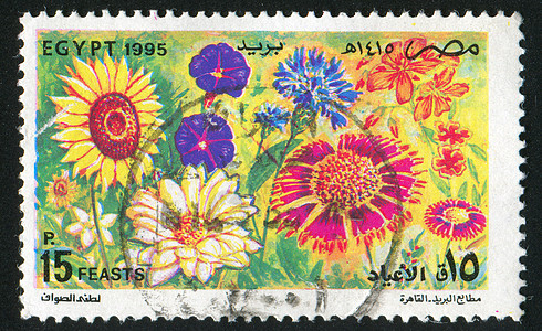 鲜花邮戳向日葵海豹植物群邮票灯丝叶子信封邮资明信片图片