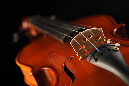 近距离拍下一小提琴 浅浅的田地深处交响乐团演艺乐器音乐音乐会红色木头活动风格图片