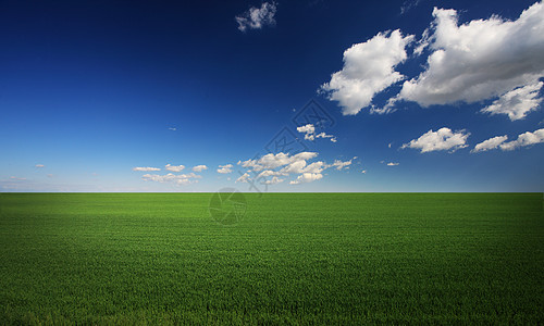 绿草和凉凉的蓝天空地平线面积爬坡环境土地偏光片色彩天气气候农业图片