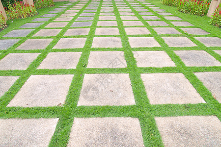 美丽的草砖在花园中漫步场地植物康复绿色路面途径马赛克衬套公园小路图片