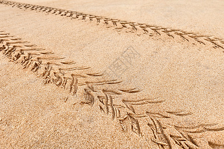 四重四在沙滩上留下的痕迹图片