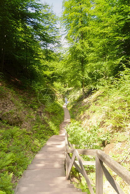 德拉钱施卢赫特语Name森林种植山沟差距树叶踪迹巨龙爬山峡谷远足图片