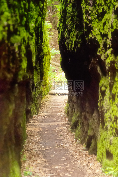 德拉钱施卢赫特语Name差距瀑布小路森林树叶山沟山脉爬山峡谷种植图片