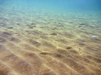 爱琴海的水下水面波浪娱乐蓝色运动假期海洋游泳动物反射图片