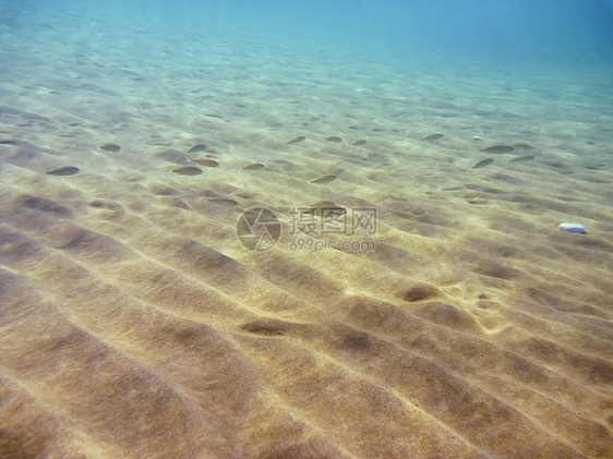 爱琴海的水下水面波浪娱乐蓝色运动假期海洋游泳动物反射图片