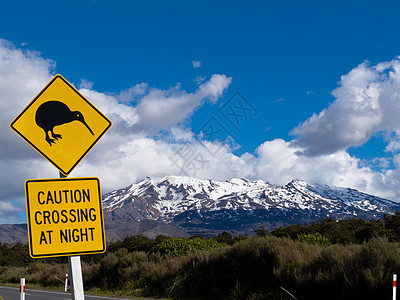 Kiwi交叉路牌和NZ的Ruapehu火山平胸无翼鸟公园国家钻石菱形指示牌路标陨石雪帽图片