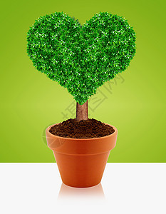 小绿树植物群陶瓷园艺植物学制品爱好生长树干花园装饰品图片