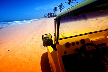 沙漠昆虫游戏假期旅行越野车车轮荒野晴天海滩干旱海洋背景图片