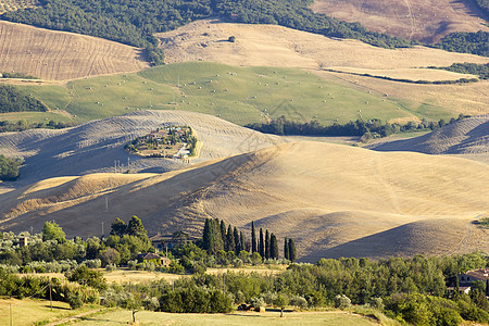 对意大利夏季托斯卡尼典型风景的看法植物植被草地场景全景场地金子农田日落农村图片