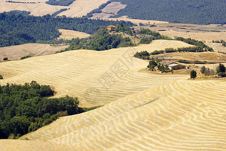 对意大利夏季托斯卡尼典型风景的看法环境植被金子农村阴影农场场景爬坡场地农田图片