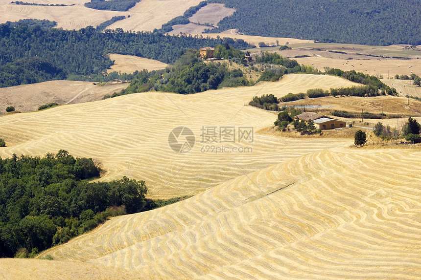 对意大利夏季托斯卡尼典型风景的看法环境植被金子农村阴影农场场景爬坡场地农田图片