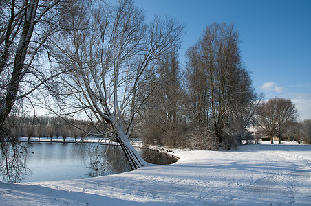 下雪时的森林寒冷磨砂白色冻结冬景季节雪景季节性图片