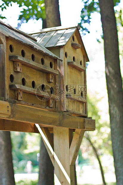 树上的鸟屋建筑森林鸟箱庇护所木板木头盒子栖息地野生动物树叶图片