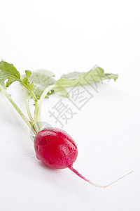 白色背景上孤立的红色红萝卜紫色农业块茎食物植物萝卜水果收成花园烹饪图片