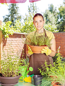 园艺工作种植锅里的植物花园工具花朵女性房子围裙阳台工作女孩园艺背景