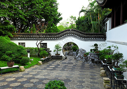 中国花园建筑松树寺庙池塘天空公园艺术园艺树叶花朵图片