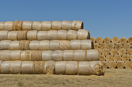 干草篮子季节牧场农田场地谷物植物包装小麦稻草收成图片