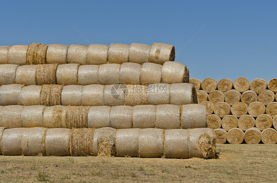 干草篮子季节牧场农田场地谷物植物包装小麦稻草收成图片