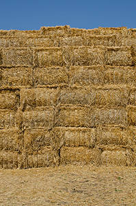 干草篮子粮食面包农场包装稻草场景收获植物小麦牧场图片