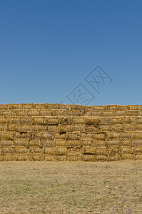 干草篮子粮食季节植物谷物农田农场小麦稻草包装城市图片